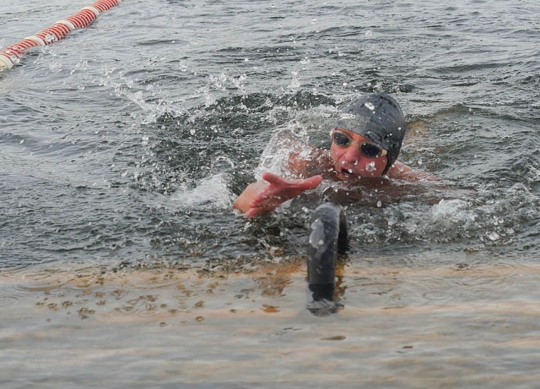 В декабрьских заплывах приняли участие более 350 моржей из 7 стран