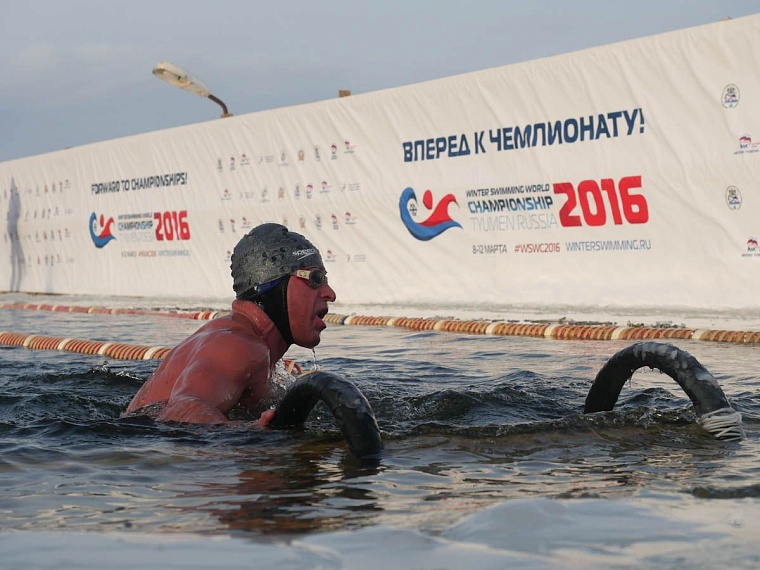 В декабрьских заплывах приняли участие более 350 моржей из 7 стран