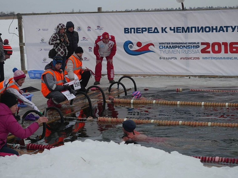 В декабрьских заплывах приняли участие более 350 моржей из 7 стран