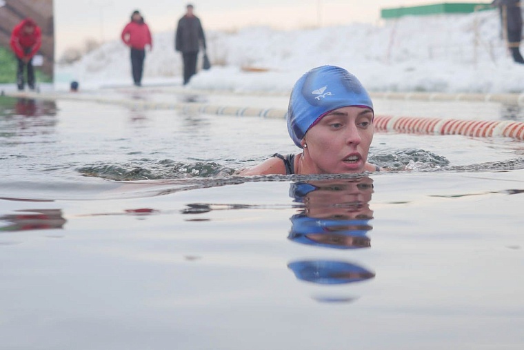 В декабрьских заплывах приняли участие более 350 моржей из 7 стран