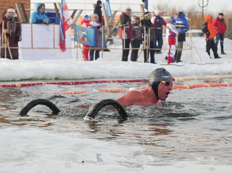 В декабрьских заплывах приняли участие более 350 моржей из 7 стран