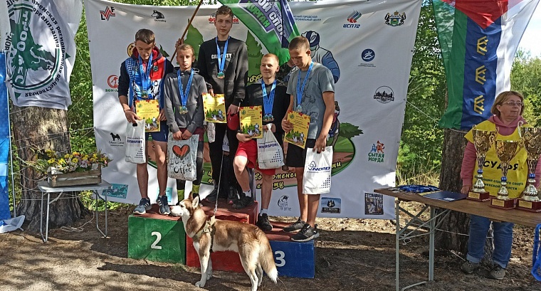 Хаски, самоеды, маламуты - в Тюмени прошел чемпионат по ездовому спорту