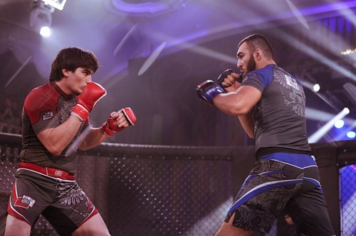 В Тюмени пройдут чемпионат и первенство по смешанному боевому единоборству