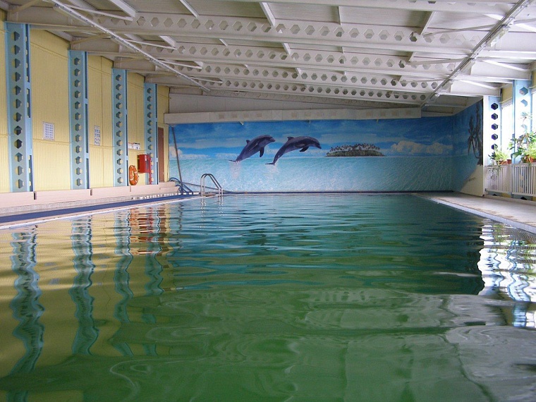 Приплыли: 10 мест, где можно плавать зимой в Тюмени