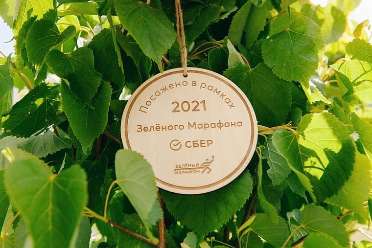 "Зеленый марафон" в Тюмени с каждым годом набирает обороты