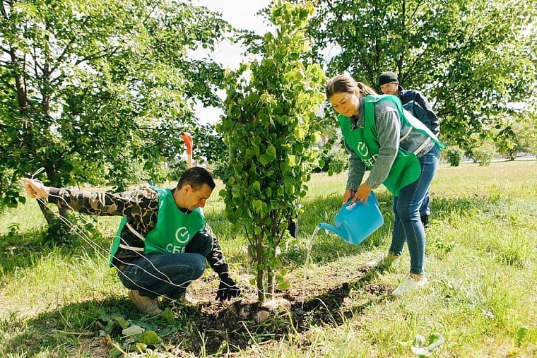 "Зеленый марафон" в Тюмени с каждым годом набирает обороты