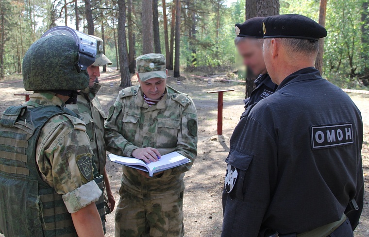 Смерть из-под земли. Подвиги тюменских саперов на минной войне