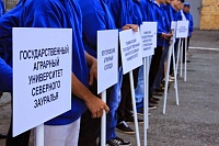 В Тюмени открыт трудовой семестр для студентов-энергетиков
