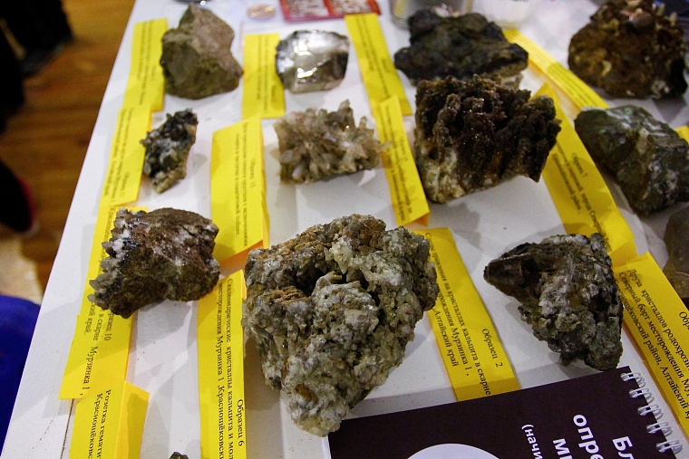 Олимпиаду юных геологов в Тюмени оценили на 11 баллов из 10