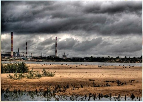 Нефтегазовые компании доверяют ТюмГУ экологические исследования