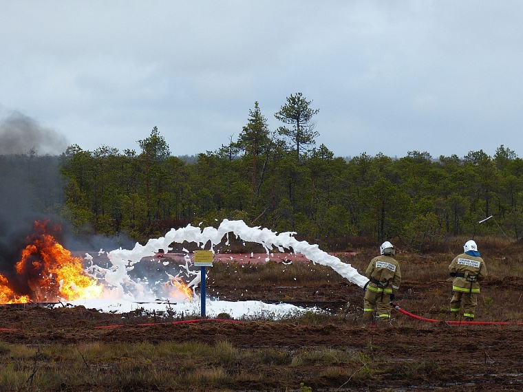 В небо над болотами подняли дрон и тяжелый экскаватор
