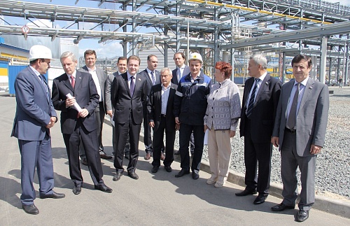 Большой льготник