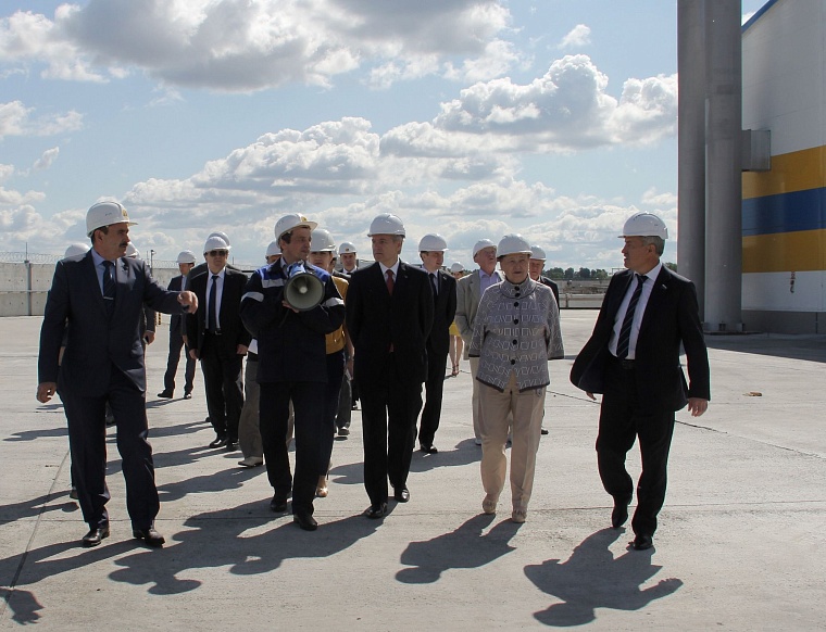 Большой льготник