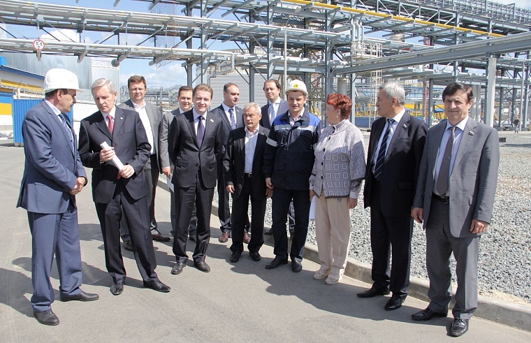 Большой льготник