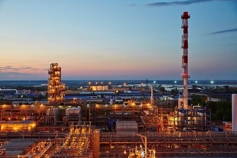 Большой льготник