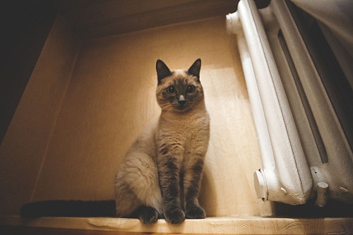 Тарифный план: Почему жители разных домов платят за тепло по-разному?