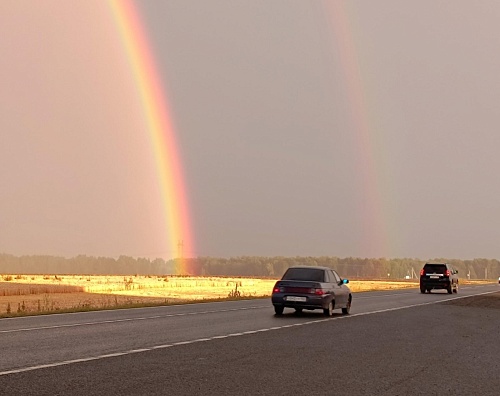 Качество связи на дорогах Тюменской области растет