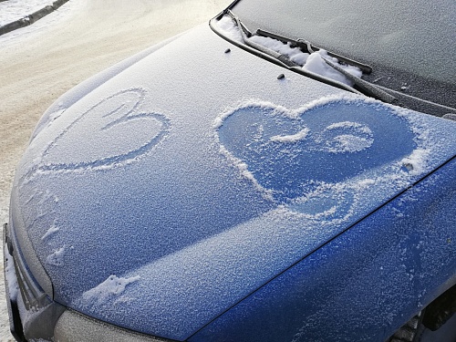 За год водителями стали более 8000 жителей Тюменской области