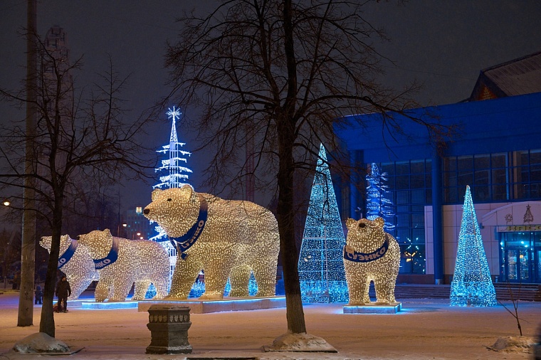 Стал известен маршрут белых мишек в Тюмени