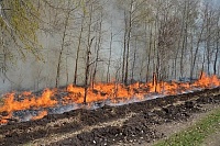 Вертолеты для тушения природных пожаров обошлись Тюменской области в 116 миллионов