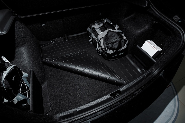 ŠKODA RAPID - сохраняя семейные ценности