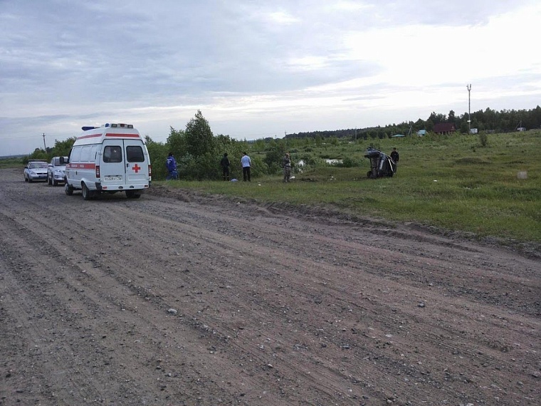 На пути за добавкой пьяную компанию на «Ладе» задержало... дерево