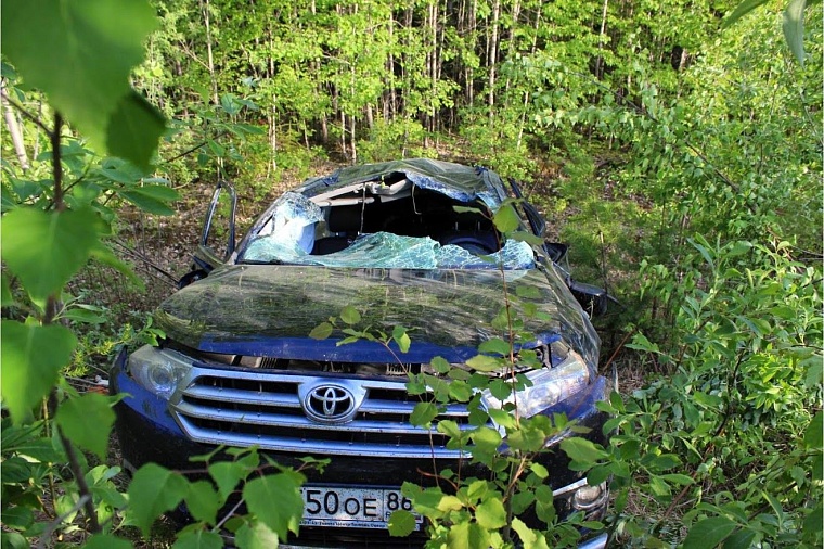 На пути за добавкой пьяную компанию на «Ладе» задержало... дерево