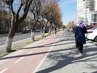 Тюменцам в парках будут рассказывать об особенностях движения по велодорожкам