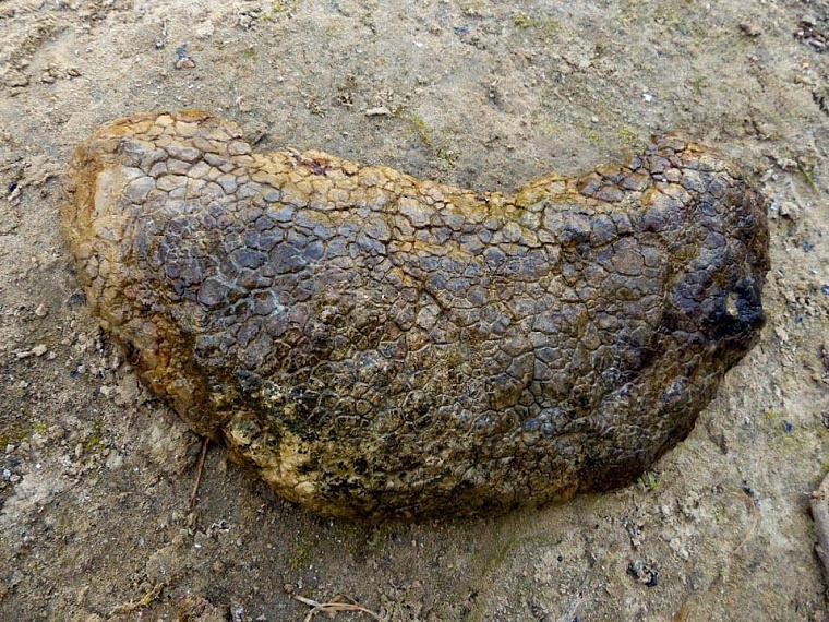 Шашовские горы, на которых никто не бывал