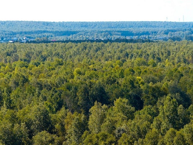 Шашовские горы, на которых никто не бывал