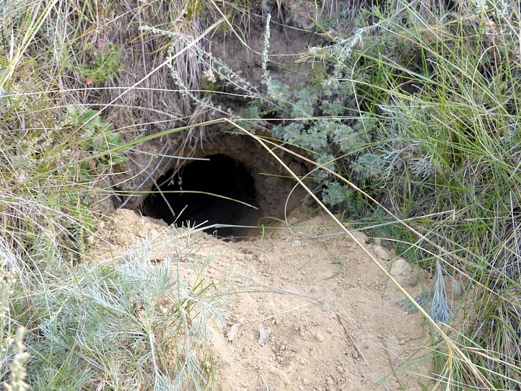 Шашовские горы, на которых никто не бывал