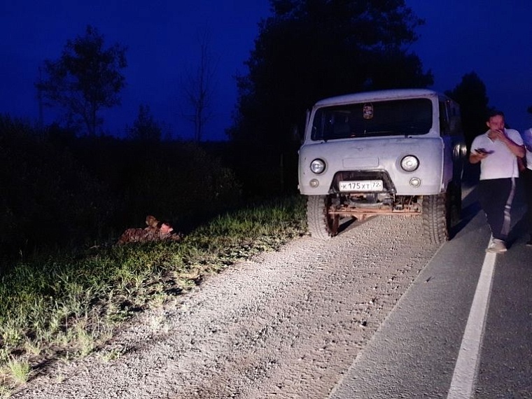 Поехали пьяные на рыбалку, а попались сами