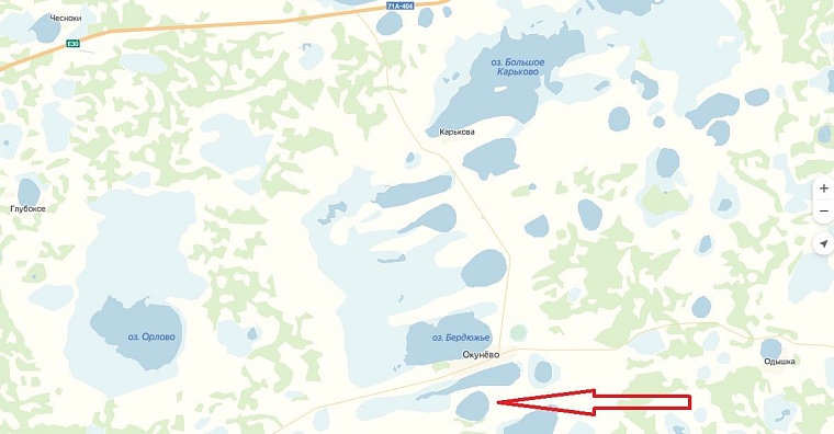 Идея на выходные: озеро Соленое в Окунево