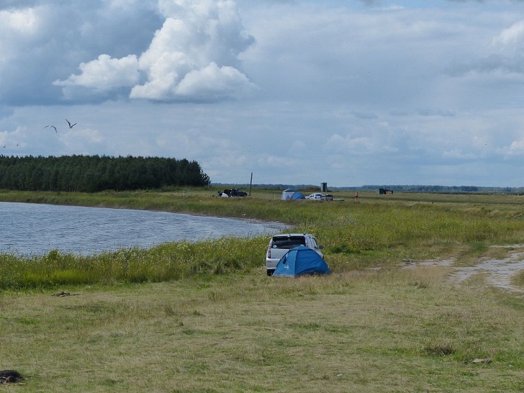 Идея на выходные: озеро Соленое в Окунево
