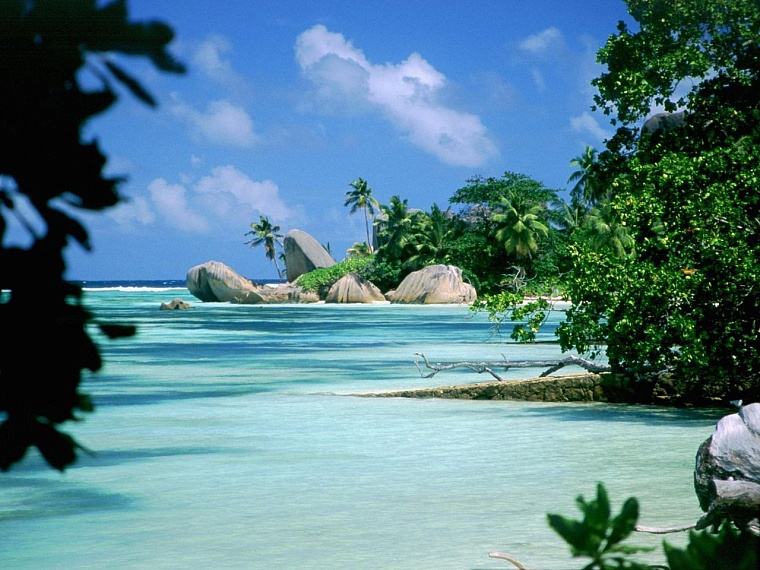 Успеть на Новый год: обзор туристических предложений