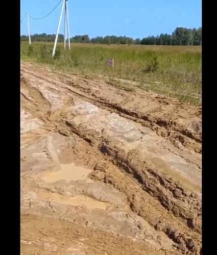 Жители Криводанова под Тюменью требуют дороги и освещение