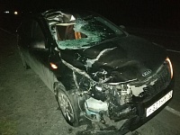 На дороге Ялуторовск - Ярково водитель иномарки насмерть сбил пешехода