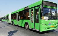 В ковидные каникулы тюменские автобусы будут ходить по графику выходных
