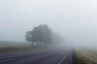 Как правильно ездить в туман – совет автоэксперта
