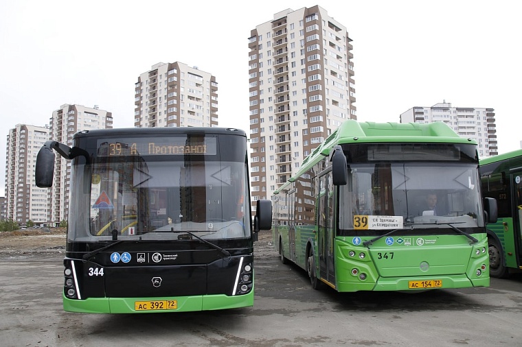 В Тюмени новые современные автобусы обслуживают популярные маршруты