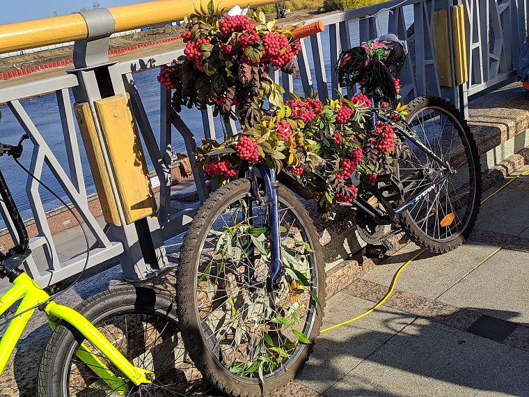 На набережную в Тюмени съехались коляски и велики из папье-маше и картона