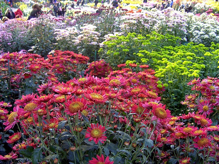 Пять событий осени, которые стоит увидеть собственными глазами