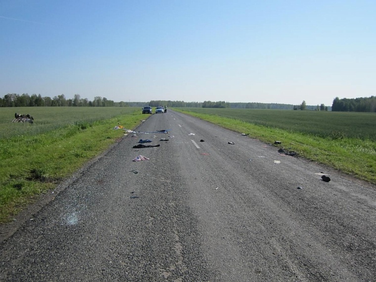 Водитель и пассажирка «Ниссана» погибли, спасая кошку