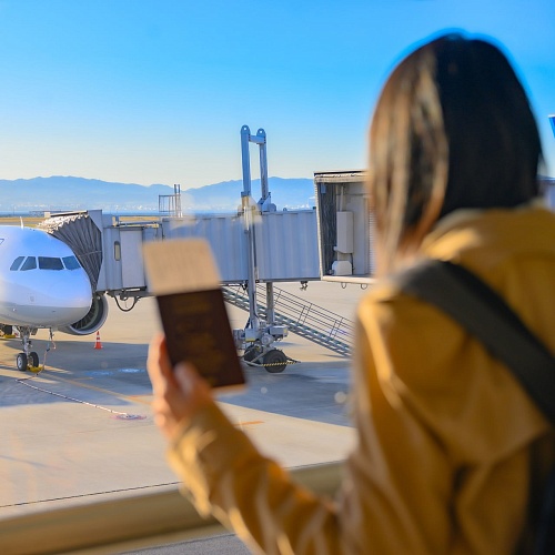 Вылет самолета из Екатеринбурга в Махачкалу задержали до 31 октября