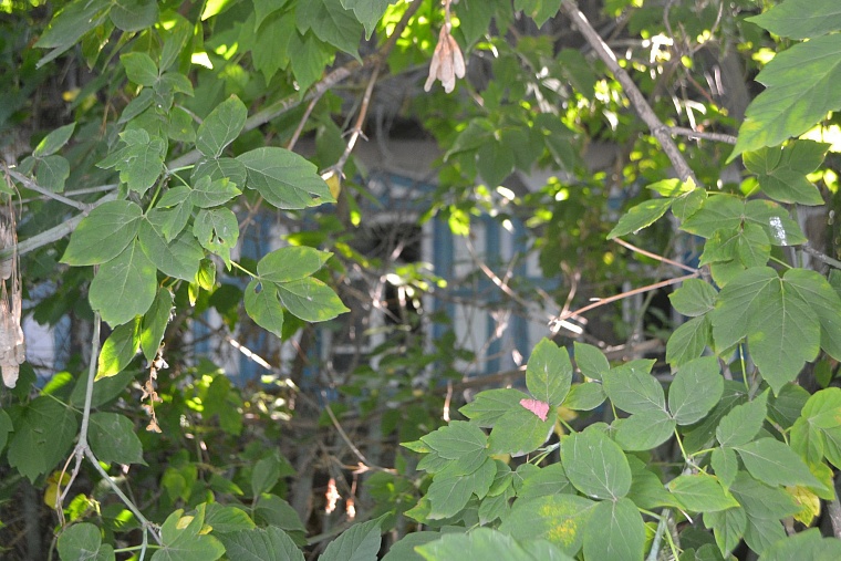 Какой будет новая развязка на улице Мельникайте?