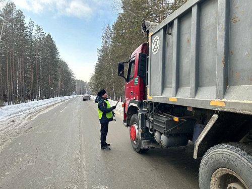 В Тюменском районе сотрудники ГИБДД по просьбе жителей дежурят у Муллашей