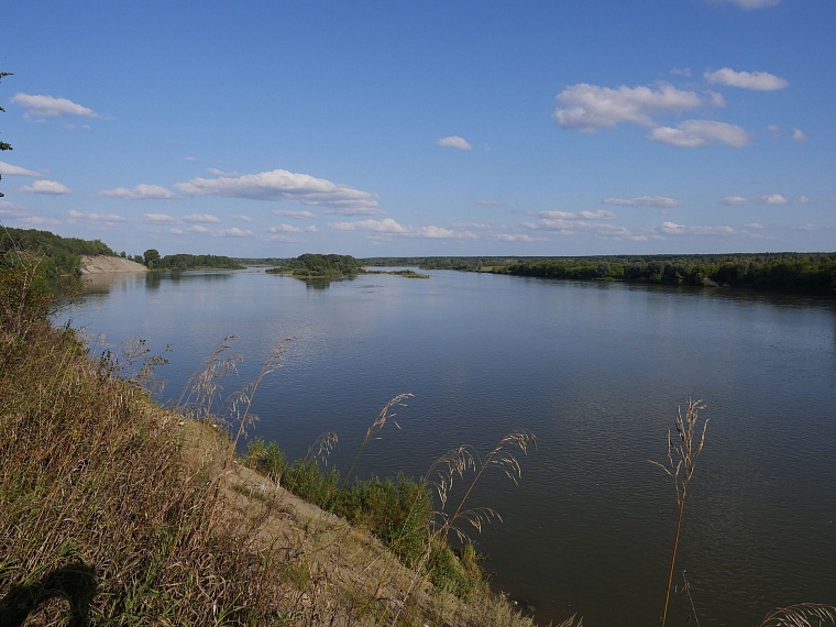 От каких болезней лечат в санаториях Алтая