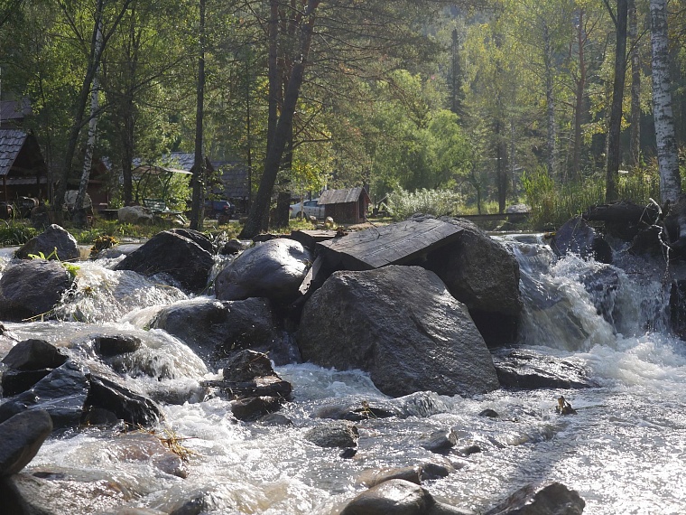 От каких болезней лечат в санаториях Алтая