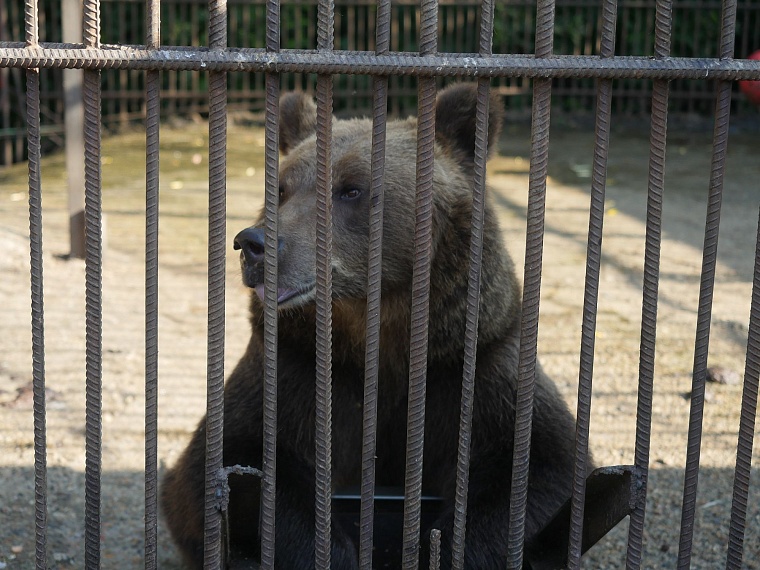 От каких болезней лечат в санаториях Алтая