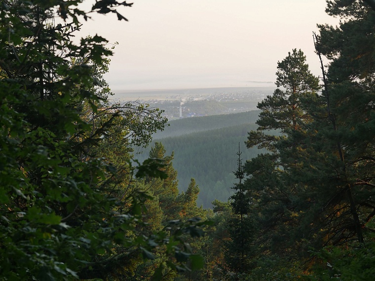 От каких болезней лечат в санаториях Алтая